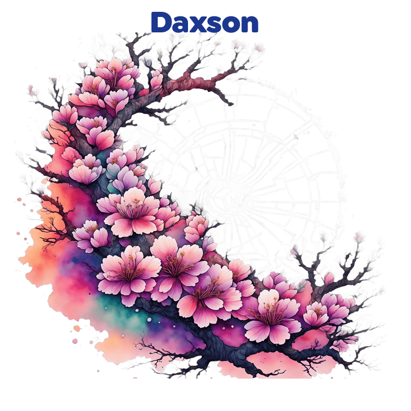 Bild von Daxson Cover von Daxson